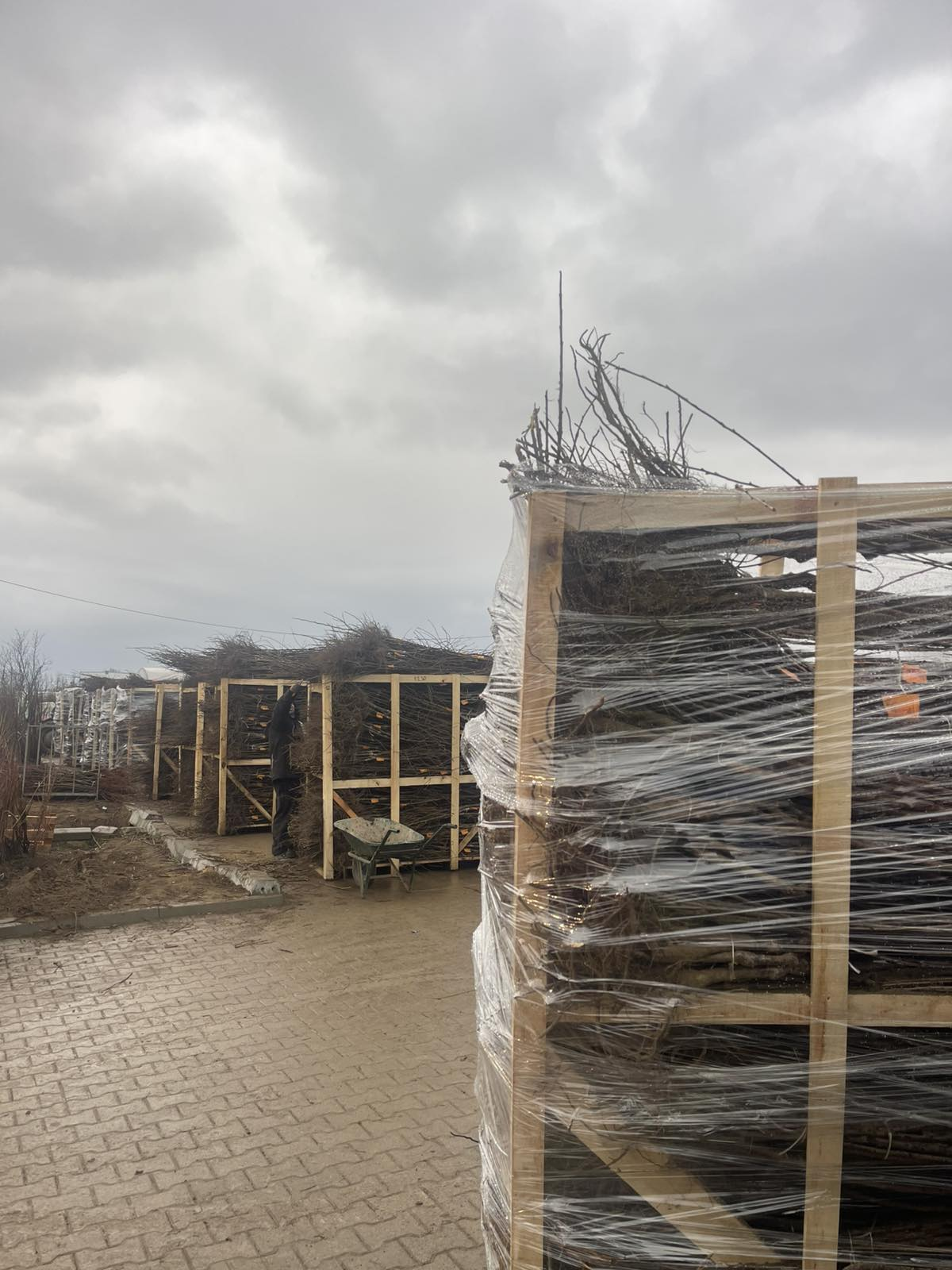 Packed pallets ready for transport
