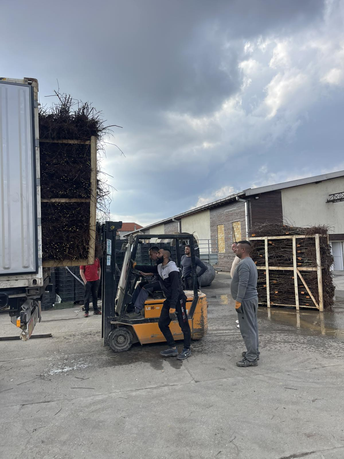 Loading crates for dispatch