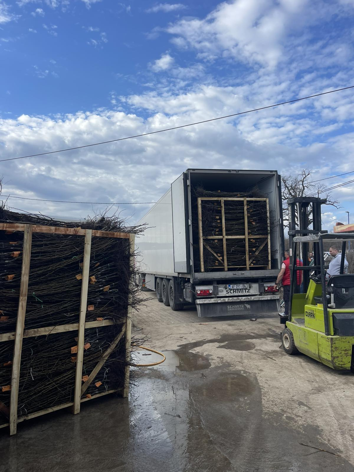 Export shipment loading